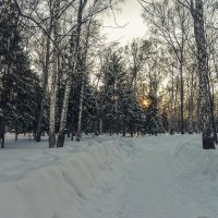 Зимний парк на исходе дня :: cfysx 