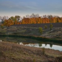 Воспоминания об осени. :: Марина 