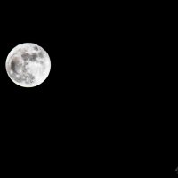 Полная луна :: Ксения Лабуш
