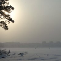 Сибирская зима :: Alla Swan