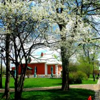 Весна в Царицыно, :: Владимир Драгунский