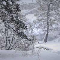 Зимняя сказка на Оленьих ручьях :: Pavel Kravchenko