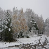 "Внезапный снег" :: Оксана Волченкова