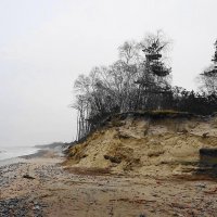 Балтийский берег в январе :: Маргарита Батырева