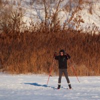 Лыжню! :: Sergey (Apg)