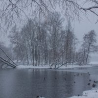 Снежный день :: Алёнка Шапран