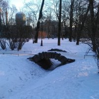Александровский парк зимою. (Санкт-Петербург). :: Светлана Калмыкова
