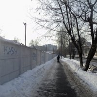 Зимний тротуар. :: Ольга Кривых