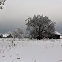 И расцвели деревья белым инеем :: Николай Масляев