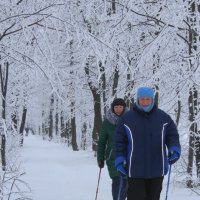 Скандинавская ходьба :: Анна Шишалова