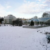Ботанический сад :: Ольга Васильева