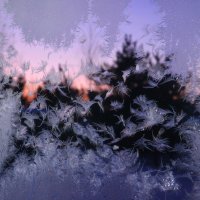 Снежные птицы зимы... :: Елена Третьякова