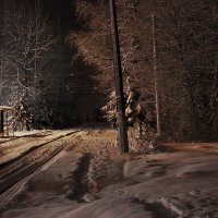 Зима, ночь, остановка :: Вера Аксёнова