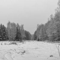 Зимний пейзаж :: Владимир Лазарев