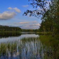 Тишина и покой на озере. :: Владимир Ильич Батарин