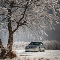 BMW и зима. :: Батик Табуев