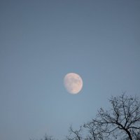 Луна в сумеречном небе-2. :: Руслан Грицунь