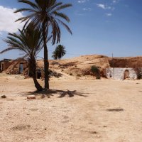 Одинокая пальма в пустыне Сахара :: Екатерина Потапова