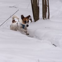 "Вот теперь точно догоню!" :: Владимир Безбородов