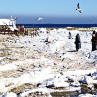 прогулки к морю :: Александр Корчемный