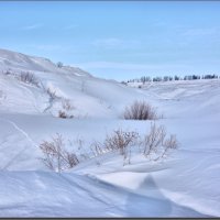 Карамышево 15февраля. :: Юрий Ефимов