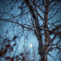 Одинокая луна :: Ильдар Шангараев