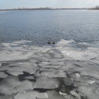 Смельчаки во льду :: Галина Квасникова