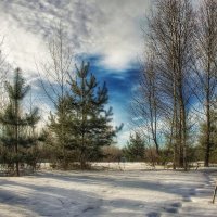 Февраль с весенними оттенками ... :: Va-Dim ...