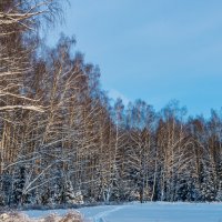 Зимние пейзаж. :: Владимир Лазарев