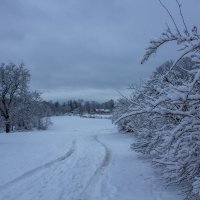 Зимнее утро :: Алёнка Шапран