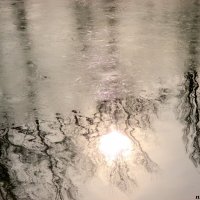 Лёд, вода и отражения :: Нина Бутко