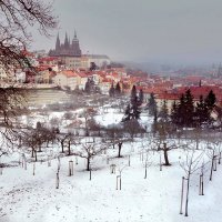 Прага с Петршина холма. :: Алла ************