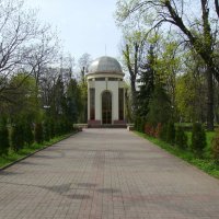Весна   в   Ивано - Франковске :: Андрей  Васильевич Коляскин