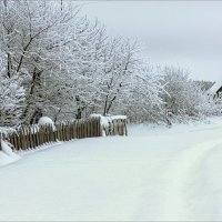 Сужение дороги... :) :: Александр Никитинский