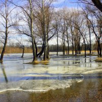 Весна, весна кругом живет и дышит, весна, весна шумит со всех сторон!(М. Исаковский) :: Валентина ツ ღ✿ღ