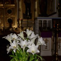 Церковные цветы :: Евгения К