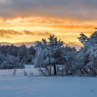Зимний закат :: Владимир Лазарев