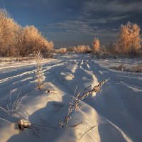 Январской утренней порой... :: Александр Попов