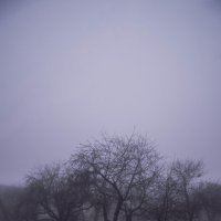 Туман :: Влад 