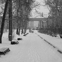 Снежная аллея :: Евгений Карский