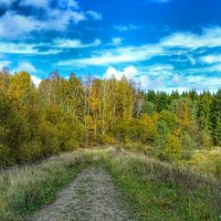 Осенний пейзаж :: Милешкин Владимир Алексеевич 