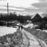 Зима в разгаре. :: Александр Тулупов