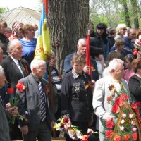 День памяти. Перезахоронение солдат ВОВ. :: Ирина Диденко