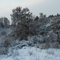 Зимний пейзаж :: Владимир Лазарев