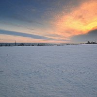 СНЯТСЯ ПОЛЮ РОЗОВЫЕ СНЫ... :: Дмитрий Строганов