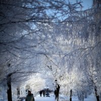 зима :: Владимир Бровков