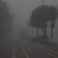 в городе туман :: Александр Попков