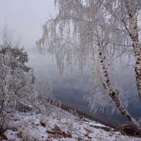 Туман над рекой :: Екатерина Торганская