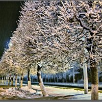 "а снег идет...." :: Юрий Ефимов