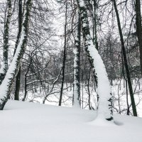 Зима :: Игорь Капуста
